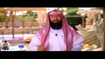 برنامج فضائل الحلقة 12  تربية الأبناء نبيل العوضي