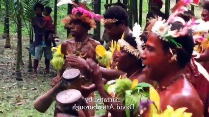 Deep Ocean The Lost World Of The Pacific   Pt 01