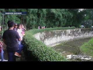 Atılan Sigarayı Okul Tuvaletindeki Liseliler Gibi İçen Orangutan