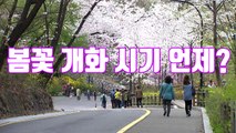 [자막뉴스] 지역별 봄꽃 개화 시기 알려드릴게요! / YTN