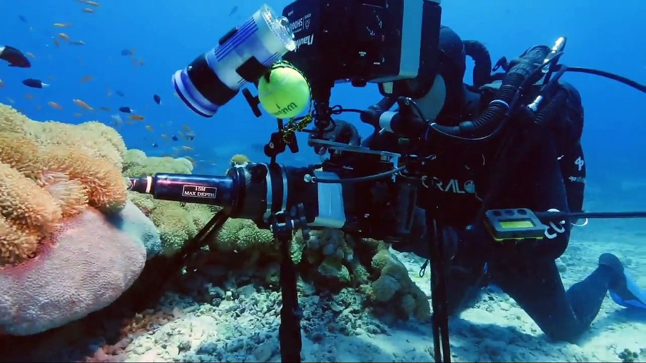 Show explores the world beneath the ocean's surface