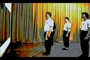 Wing Chun with Terence Yip Siu Nim Tau Application Part 1