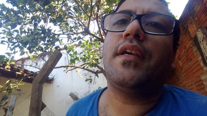 Use esponja de louça em suas plantas e veja o resultado!