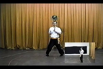 Wing Chun with Terence Yip Siu Nim Tau Part 2