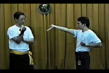 Wing Chun with Terence Yip Siu Nim Tau Part 10