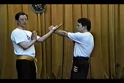 Wing Chun with Terence Yip Siu Nim Tau Part 9