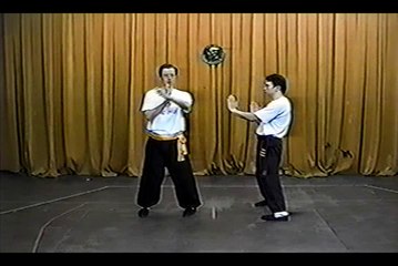 Wing Chun with Terence Yip Siu Nim Tau Part 11