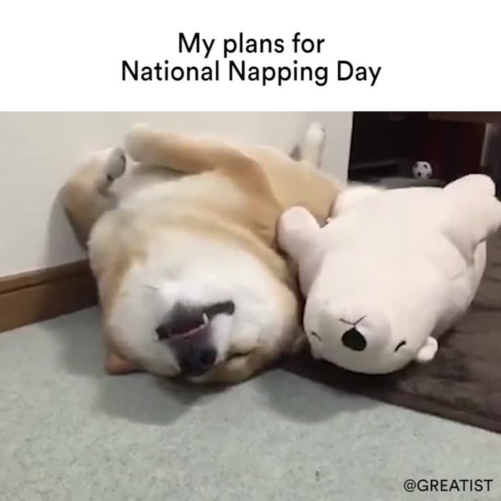 Nap Time