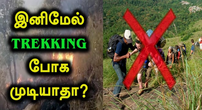 கேரளா, கொடைக்கானலில் மலையேற்றத்துக்கு தற்காலிக தடை