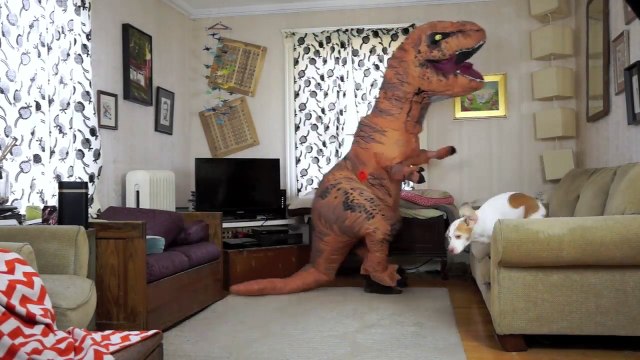 T-Rex Befriends Dog- Funny Dog Maymo