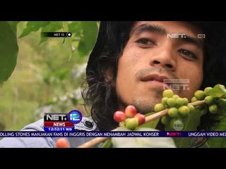 Panen Biji Kopi Di Dataran Tinggi Gayo  NET 12
