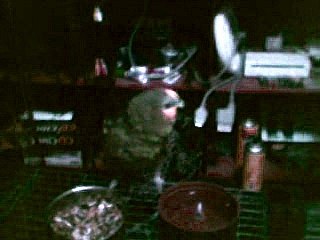 loro_que_ladra - parrot that barks.