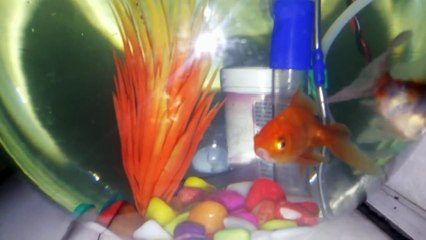 NEW MEDIUM SIZE FILTER FOR FISH