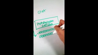 Gram Positive vs. Gram Negative Berial Cell Wall Structure (Microbiology)