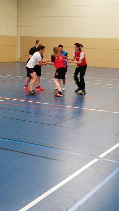 Combat de Sumo