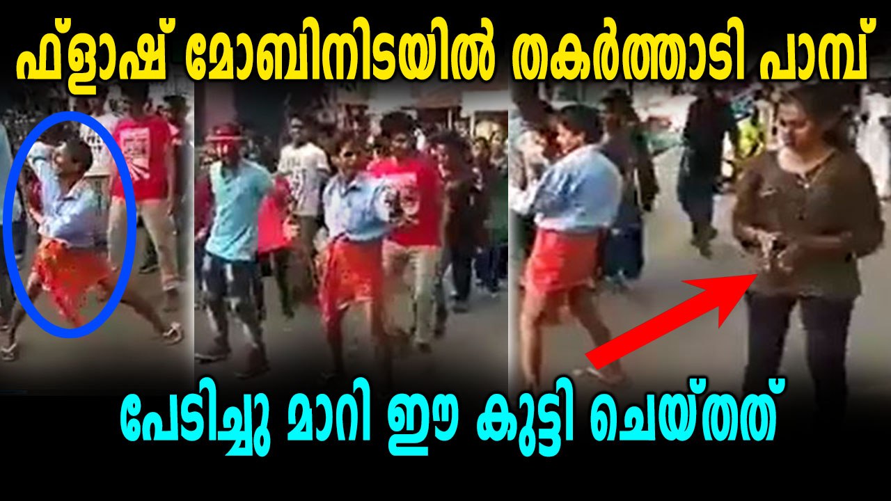 ഫ്ലാഷ് മോബിനിടയിൽ കയറി ഡാൻസ് കളിച്ച് ഒരു മദ്യപാനി, ഈ വീഡിയോ കാണൂ | Oneindia Malayalam