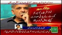 Shehbaz Sharif elected PML-N head