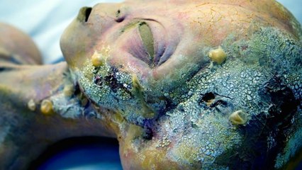 The Alien Races - The Race Who Crashed in Vagihna [Ep. 2]