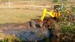 Dramatic moment excavator rescues exhausted baby elephant from swamp