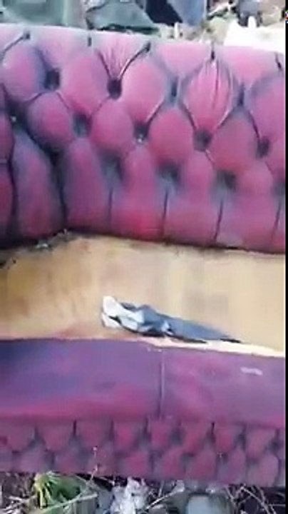 Une immense décharge sauvage s'étend sur 25 hectares dans les Yvelines