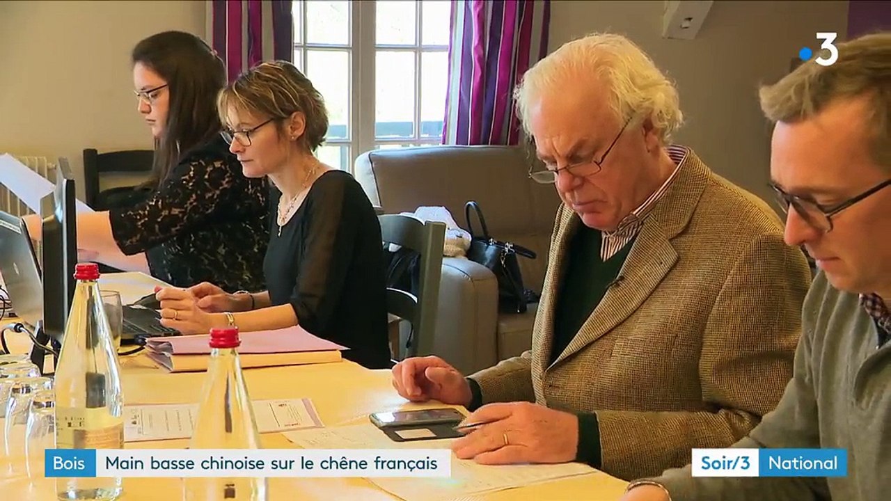 La Chine se rue sur le bois des forêts françaises