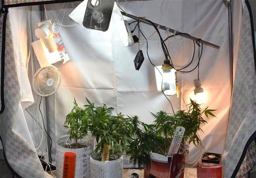 Üniversiteliler, Elbise Dolabını Uyuşturucu İmalathanesine Çevirmiş