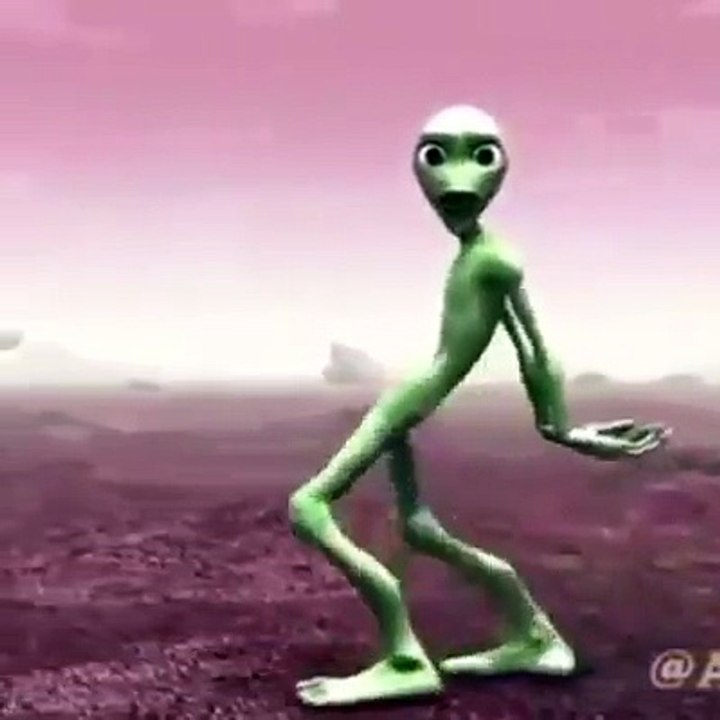 funny Video #4 lol