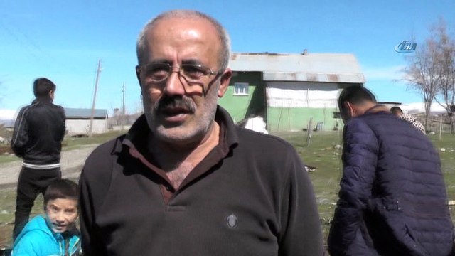 Baharın müjdecisi leylekler Muş’ta... 1 asırdır köyde yuvalayan leylekler köyün simgesi oldu
