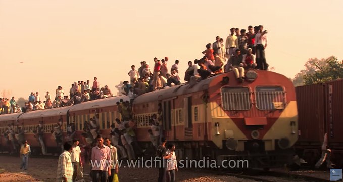 Local train travel in India - it takes all sorts to make India!