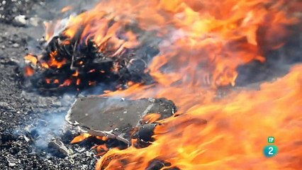 Vida Electrónica E-Life Documental