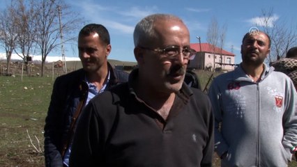 Çatısında 'leylek yuvası var' diye evleri yıkmıyorlar - MUŞ