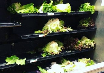 Shelves Empty as New Englanders Stock Up for Nor'easter