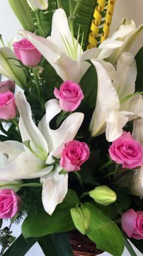 Most Beautiful Flowers Arrangements – Blooms Only
