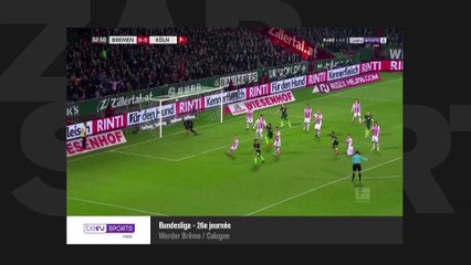 Le Zap Sports.fr du 13 mars