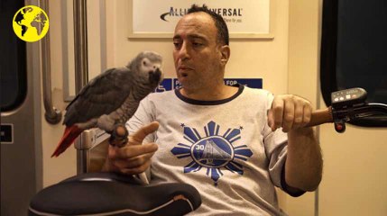 Les inconnus du métro : Edward et l'amour de sa vie, le perroquet Buddy