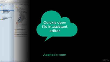 050 Option click to open file in assistant editor