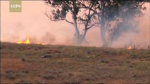 Australian bushfires threaten properties, close roads