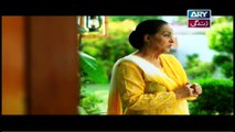Mein Mehru Hoon Ep 65 - on ARY Zindagi in High Quality 13th March 2018