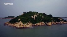 Aerial Video: Splendid shot of the world’s longest sea bridge in China