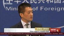 China expresses support for Syria ceasefire deal