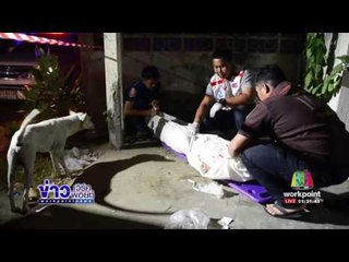 สุดสลด เจ้าตูบเฝ้าศพเจ้านายไม่ห่าง  l ข่าวเวิร์คพอยท์  (เที่ยง) l06 ก.พ.60