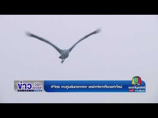 พิจิตร พบศูนย์นกอพยพแหล่งท่องเที่ยวแห่งใหม่ | ข่าวเปรี้ยงเที่ยงตรง | 24 มี.ค.. 60