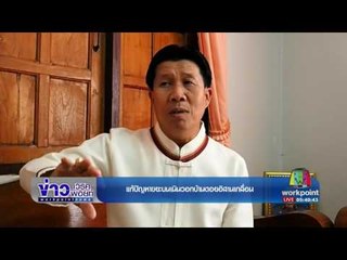 สกู๊ป มดสร้างเมือง