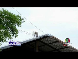 ฝูงลิงกว่า300ตัวประสบภัยแล้งบุกบ้านเรือนชาวบ้าน l ข่าวเวิร์คพอยท์ l 20 มี.ค.60