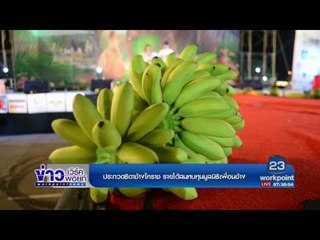 ประกวดธิดาช้างโคราช รายได้สมทบทุนมูลนิธิเพื่อนช้าง l ข่าวเวิร์คพอยท์ l 20 มี.ค.60