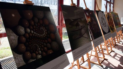 'Matematiğin gözünden IMAGINARY' sergisi - TRABZON