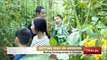 City farms on rooftops gain momentum in China, helping to bring rural traditions to cities