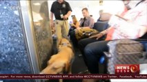 Dogs sniff out explosives in Denver airport