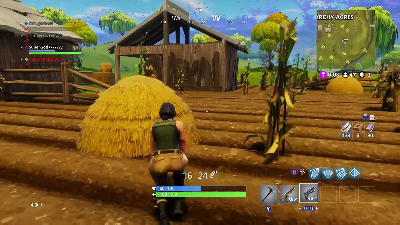 Fortnite Battle Royale (17)