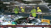 Trash to treasure: Brothers make millions with recycling skills